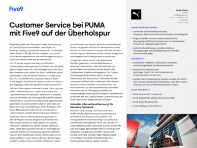 PUMA case study DE