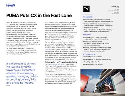 Screenshot of Puma Case Study